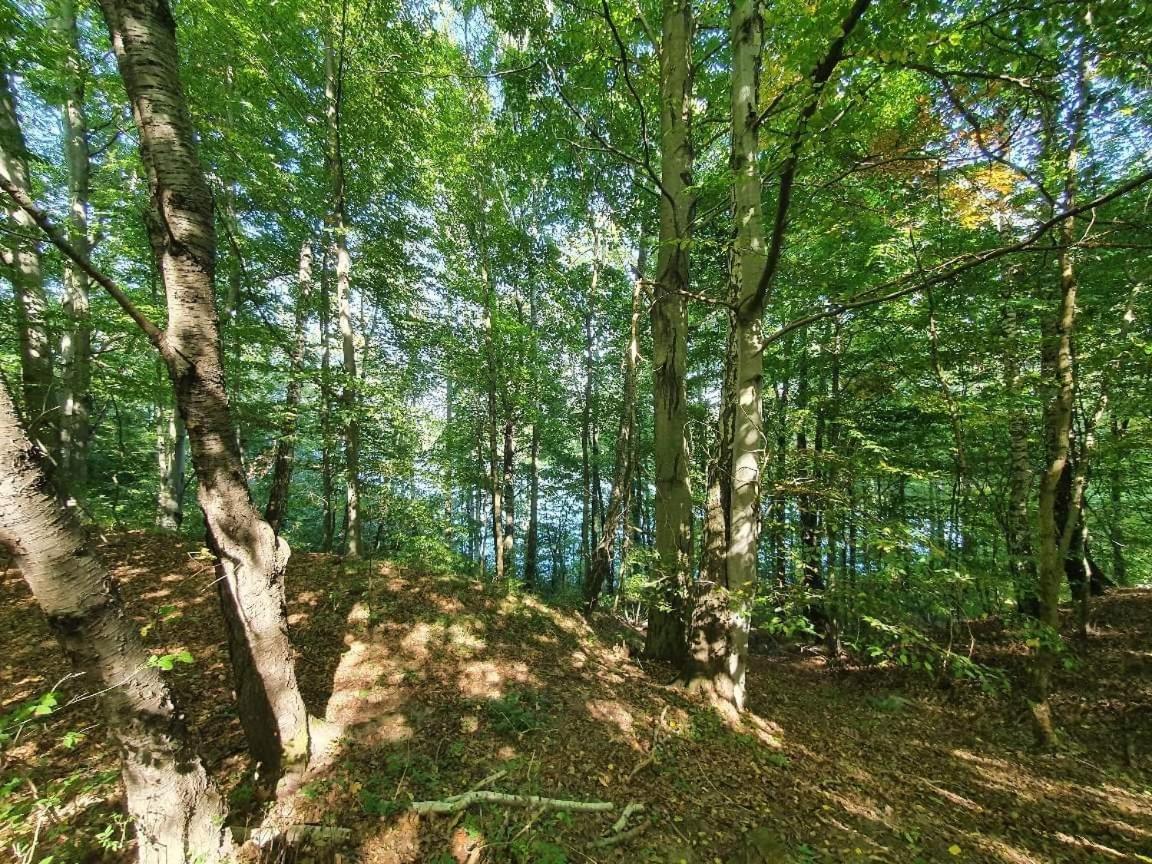Hytte Narie 2 Bogaczewo  Экстерьер фото